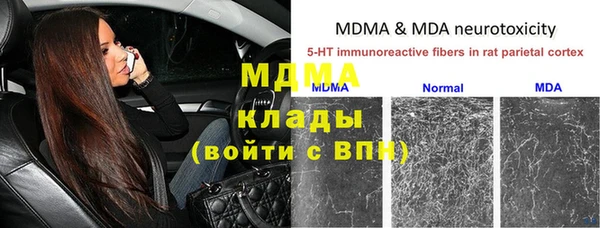 apvp Алзамай