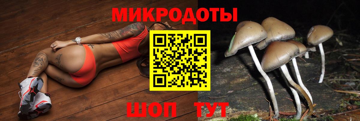 Анапа  Галлюциногенные грибы Cubensis  где купить   Галлюциногенные грибы MAGIC MUSHROOMS  Вход с VPN 